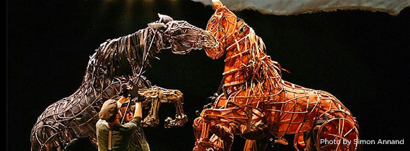 War Horse