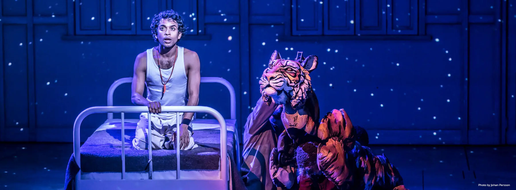 Life of Pi