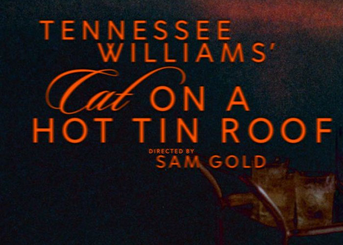 Cat on a Hot Tin Roof